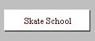 Skate School