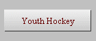 Youth Hockey